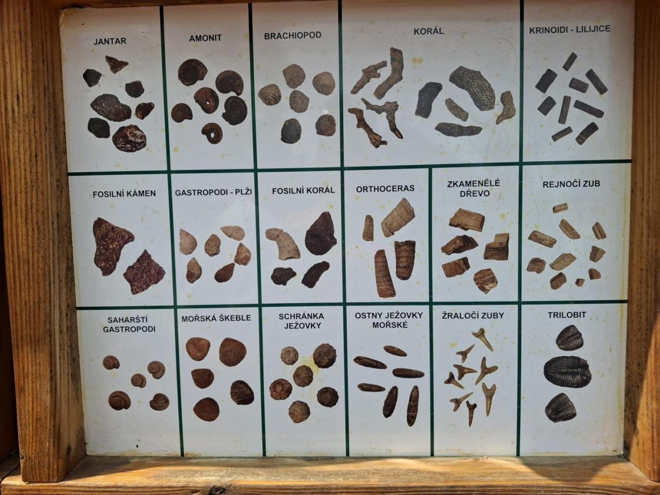 Školní výlet do outdoorového resortu Březová  5.A a 5.B