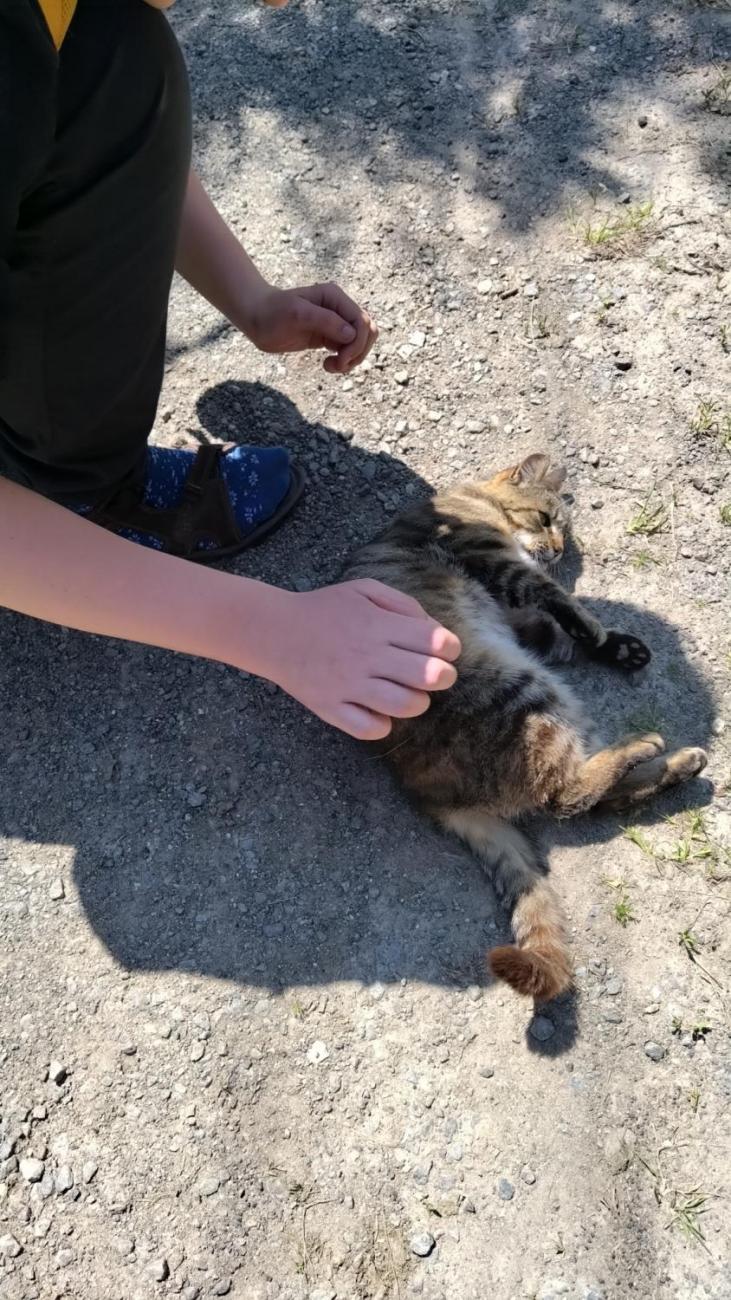 Spolupráce 7.C s klienty DTS Jihlava