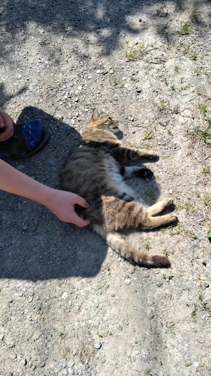 Spolupráce 7.C s klienty DTS Jihlava