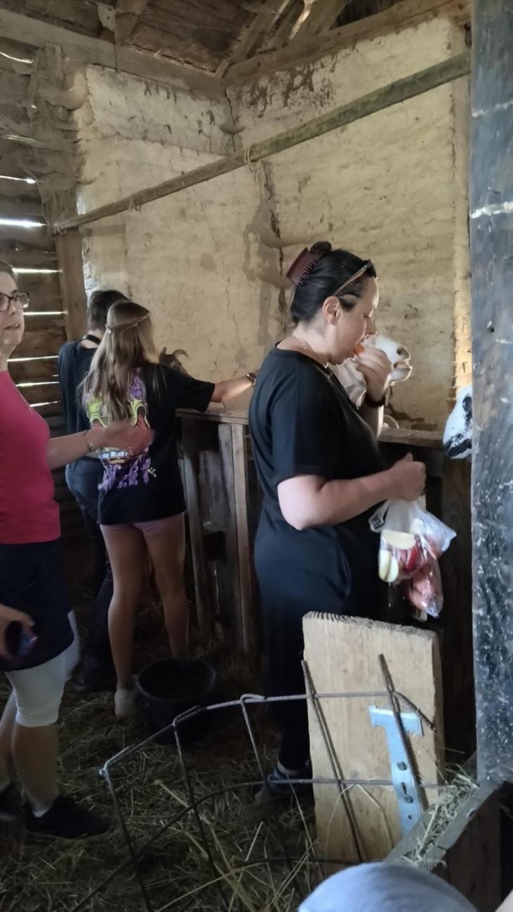 Spolupráce 7.C s klienty DTS Jihlava