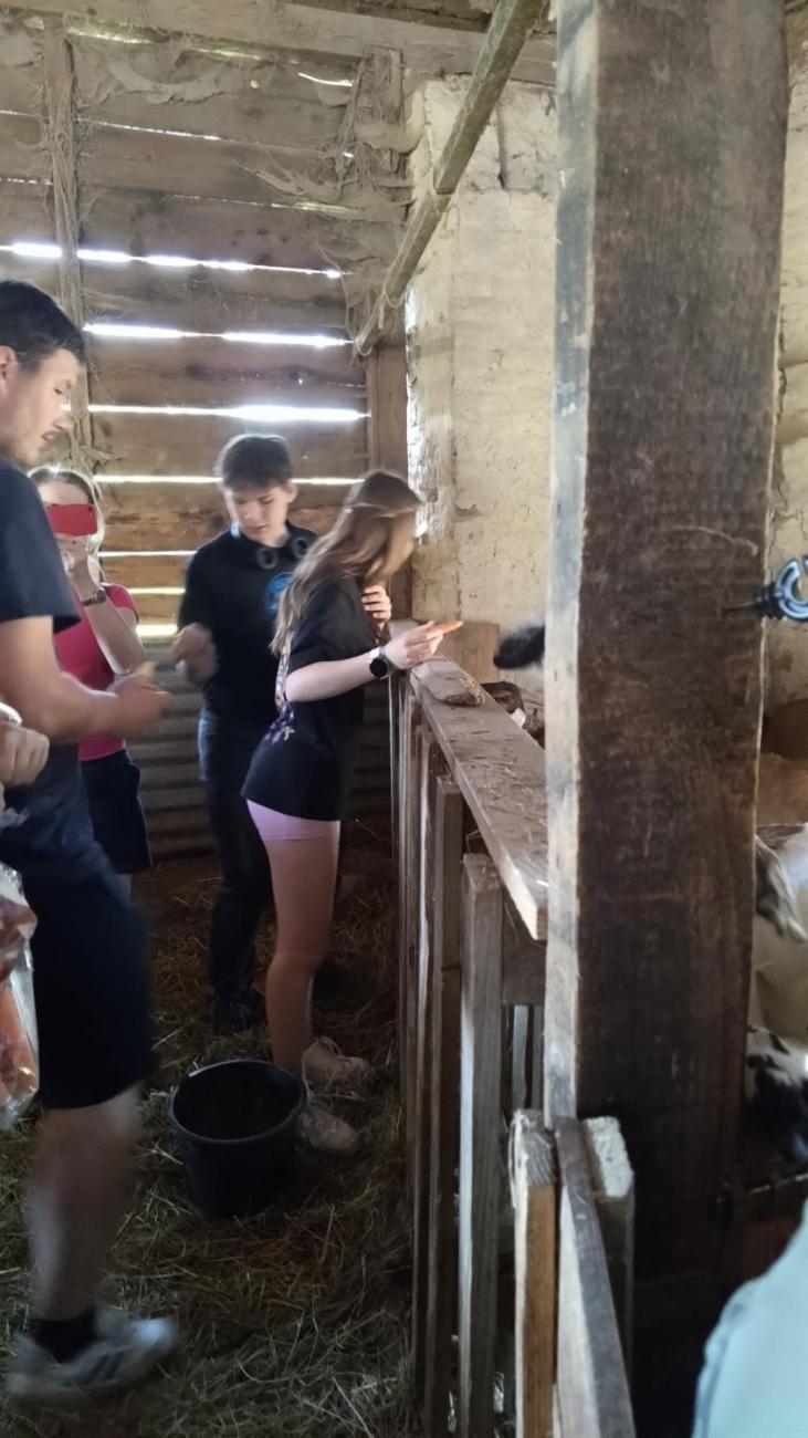 Spolupráce 7.C s klienty DTS Jihlava