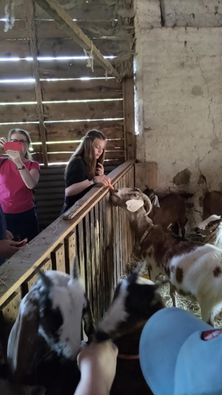 Spolupráce 7.C s klienty DTS Jihlava