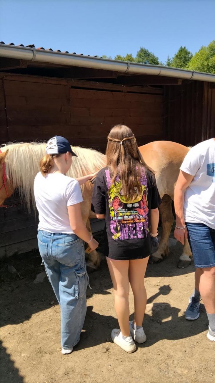 Spolupráce 7.C s klienty DTS Jihlava