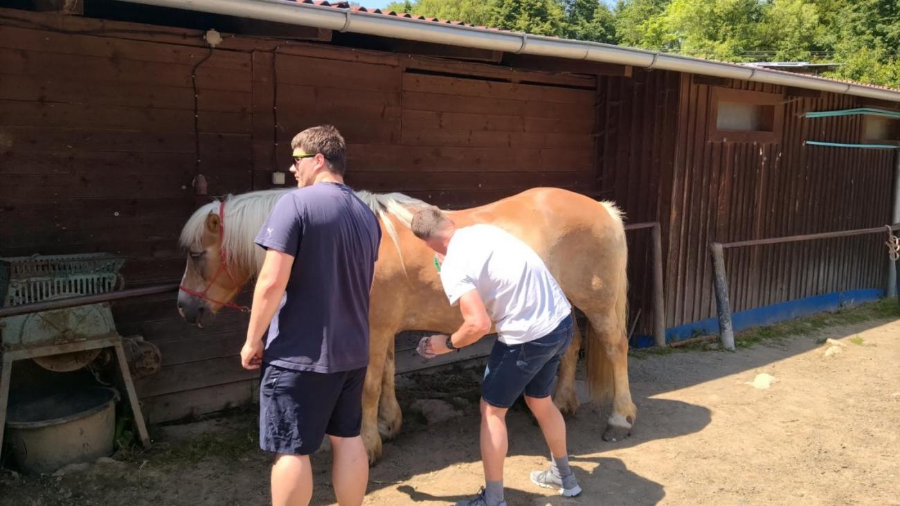 Spolupráce 7.C s klienty DTS Jihlava