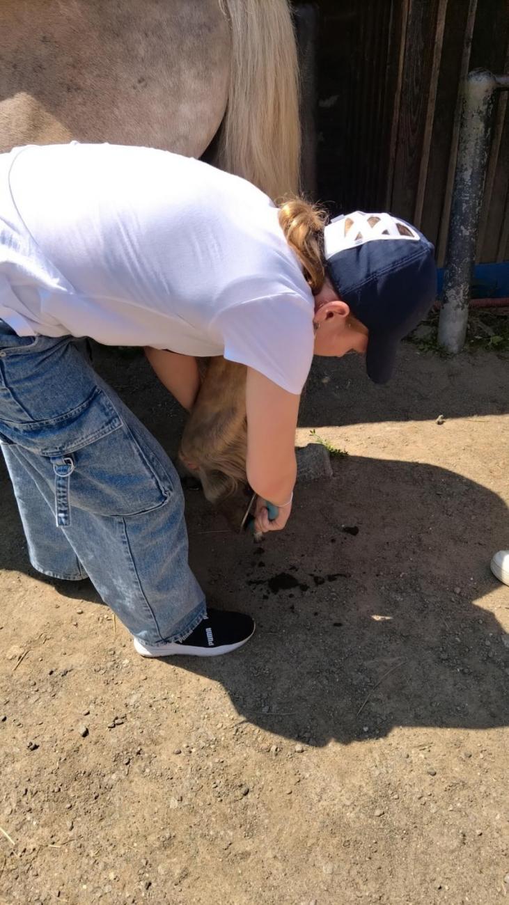 Spolupráce 7.C s klienty DTS Jihlava