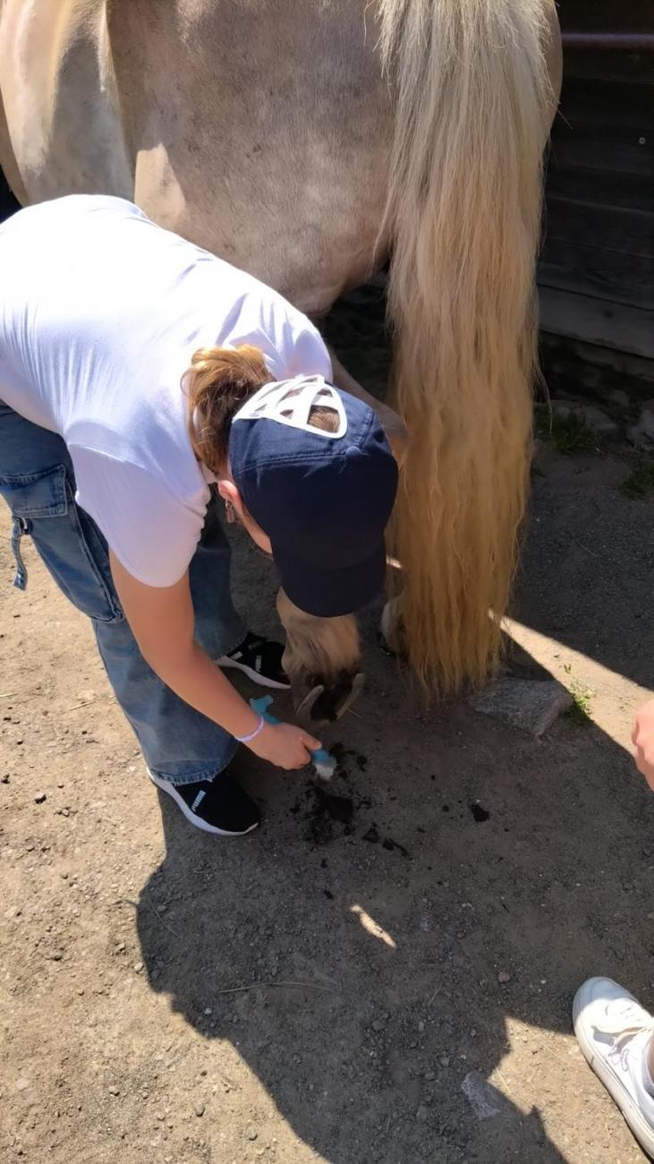 Spolupráce 7.C s klienty DTS Jihlava