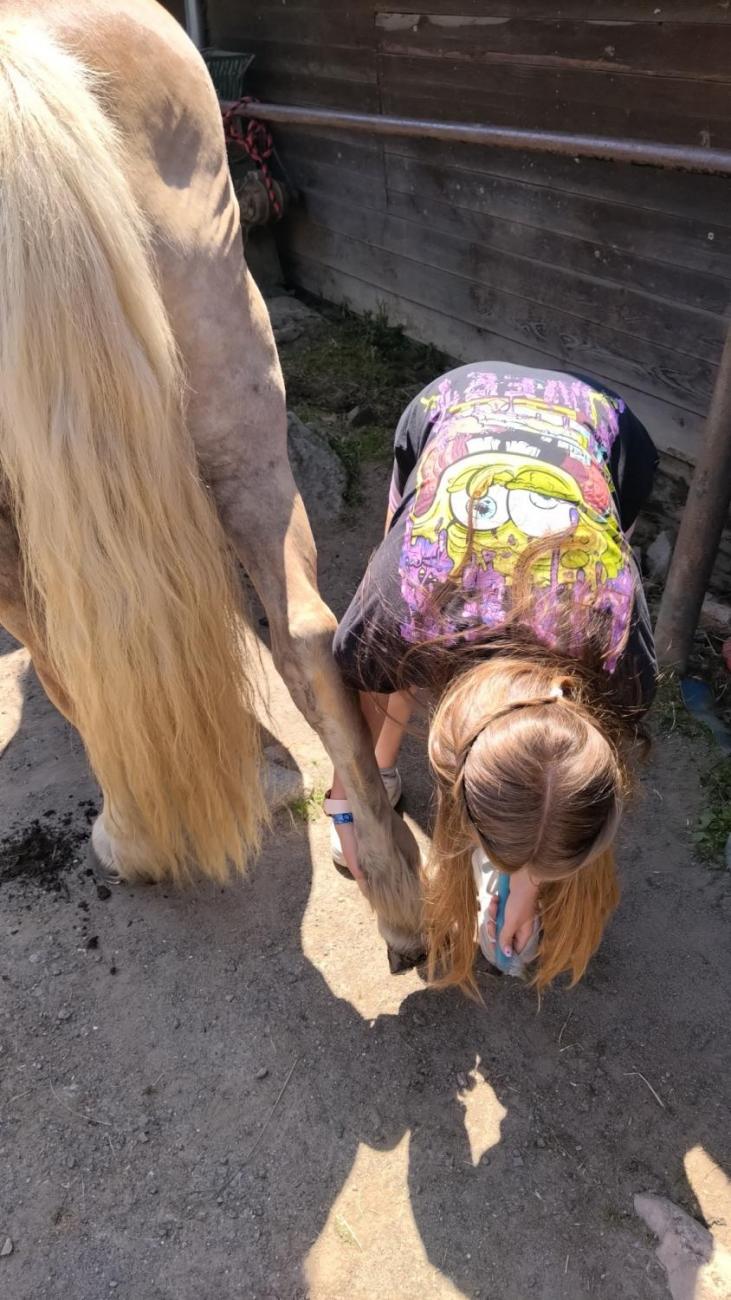 Spolupráce 7.C s klienty DTS Jihlava