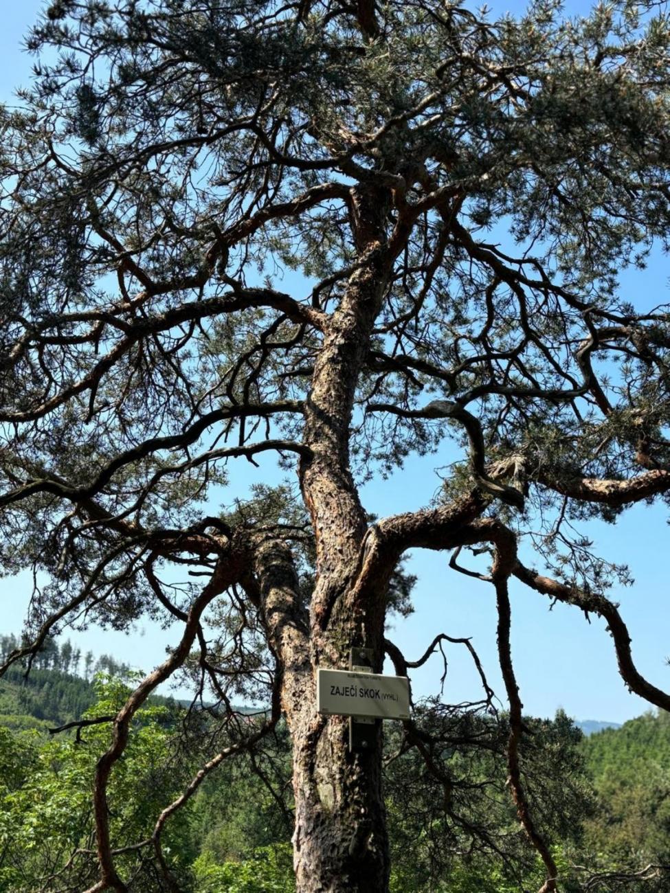 Školní výlet na Zaječí skok 1.B