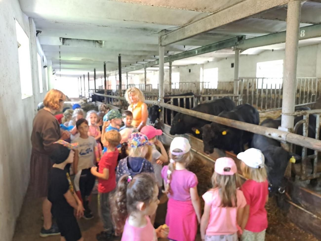 Výlet na Zaječí skok a na statek do Rantířova  1.C