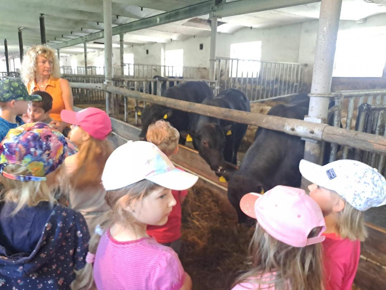 Výlet na Zaječí skok a na statek do Rantířova  1.C