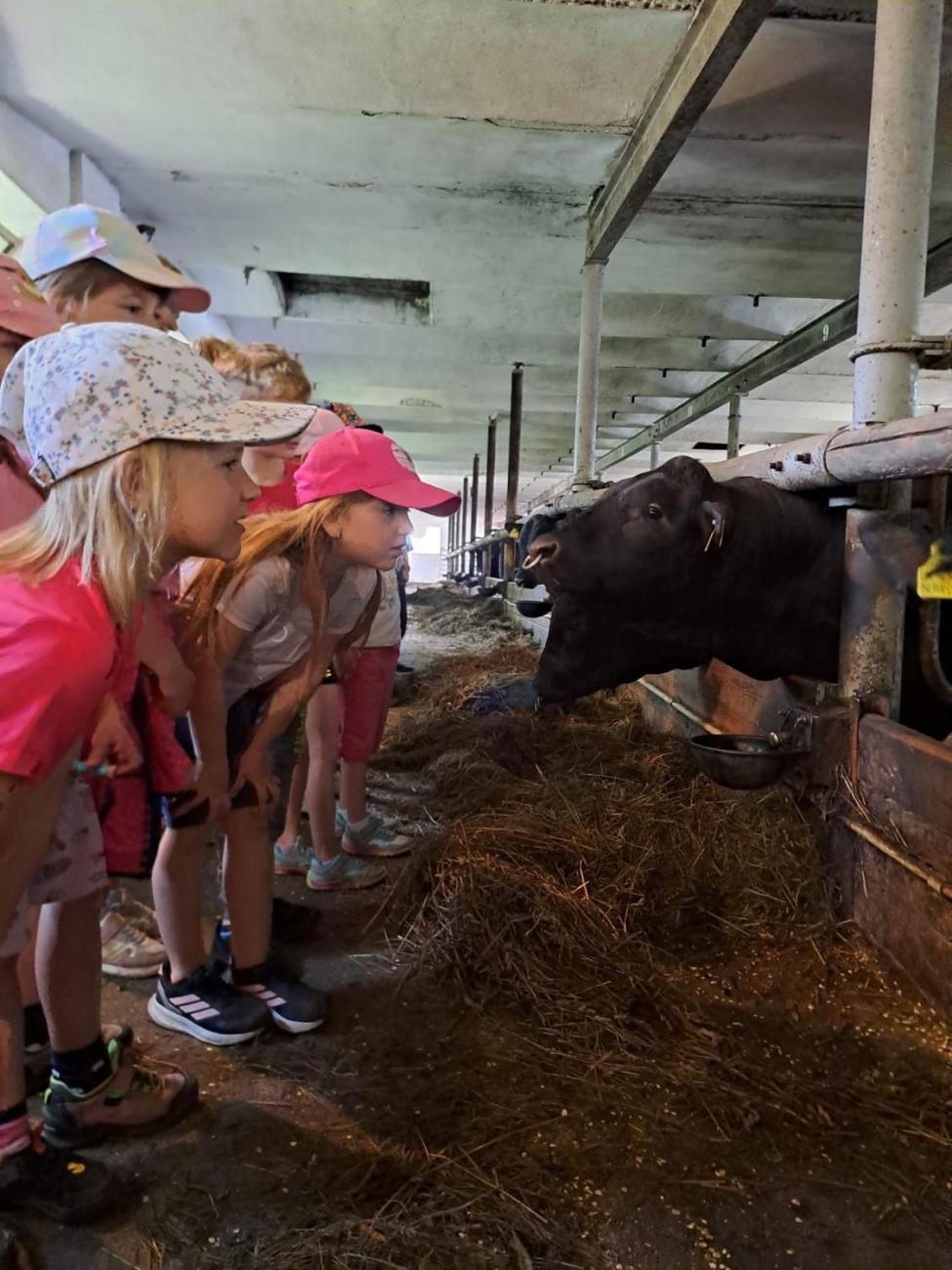 Výlet na Zaječí skok a na statek do Rantířova  1.C