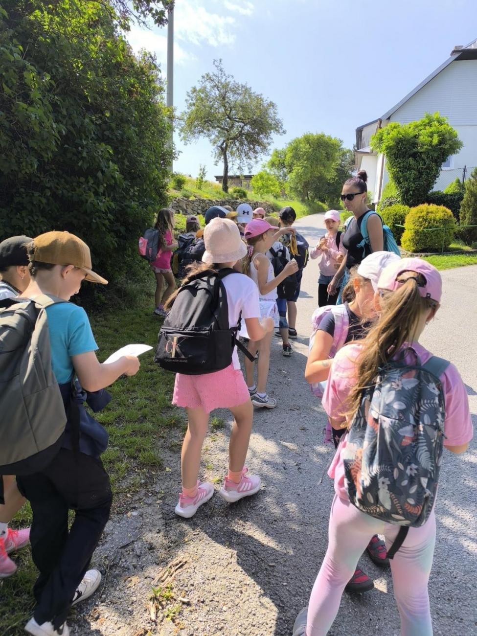 Výprava na zříceninu hradu Rokštejn – třída 2.A