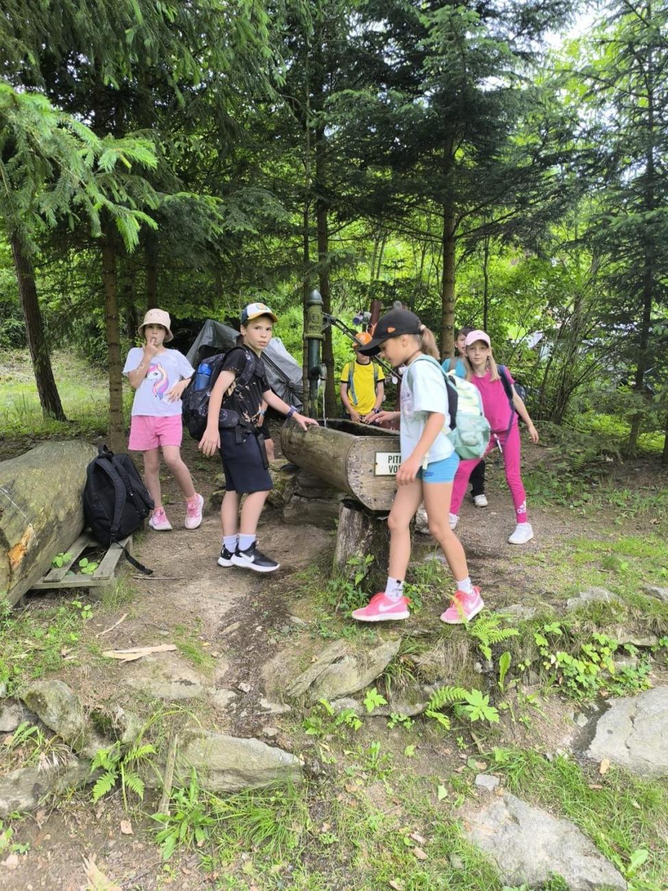 Výprava na zříceninu hradu Rokštejn – třída 2.A