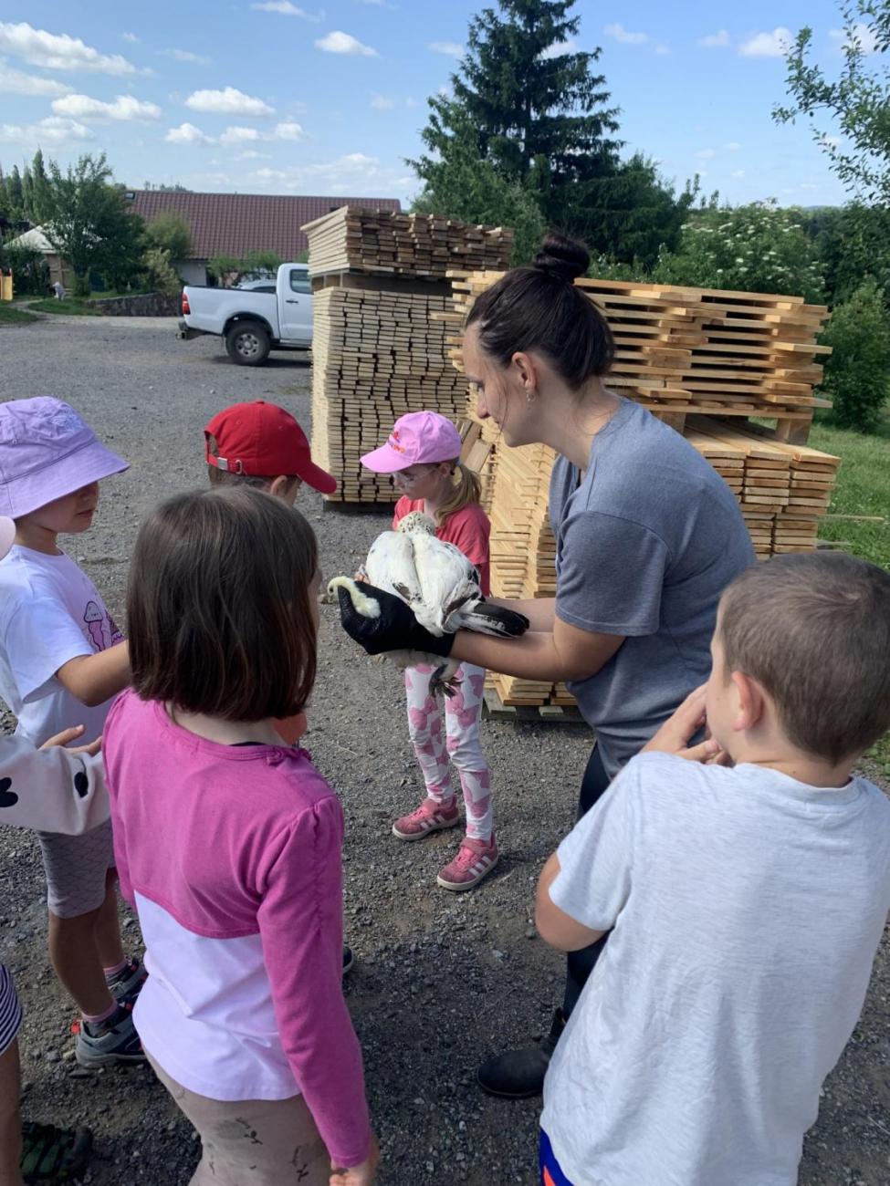 Farma sv. Florian  2.B