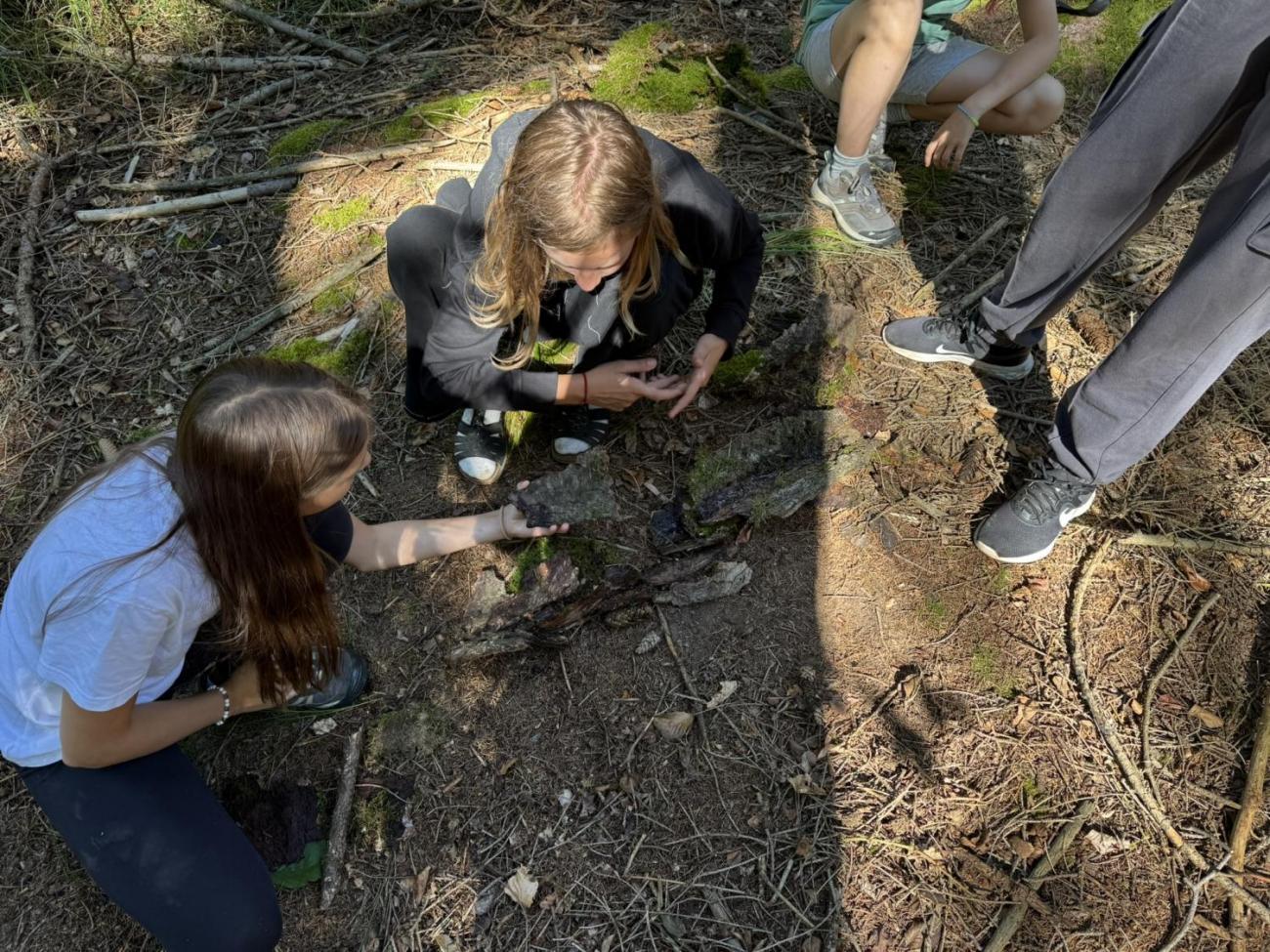 Šesťáci v Zálesí