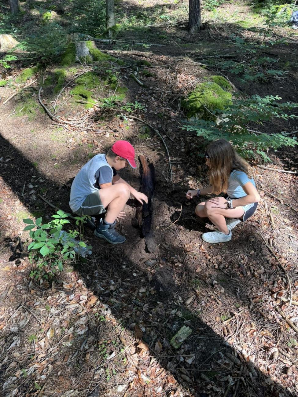 Šesťáci v Zálesí