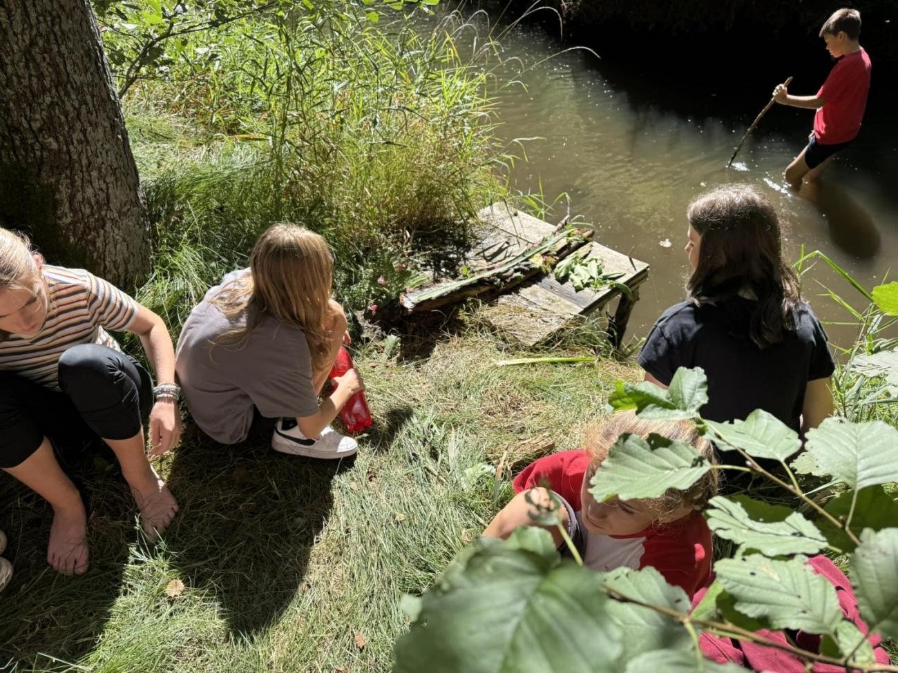 Šesťáci v Zálesí