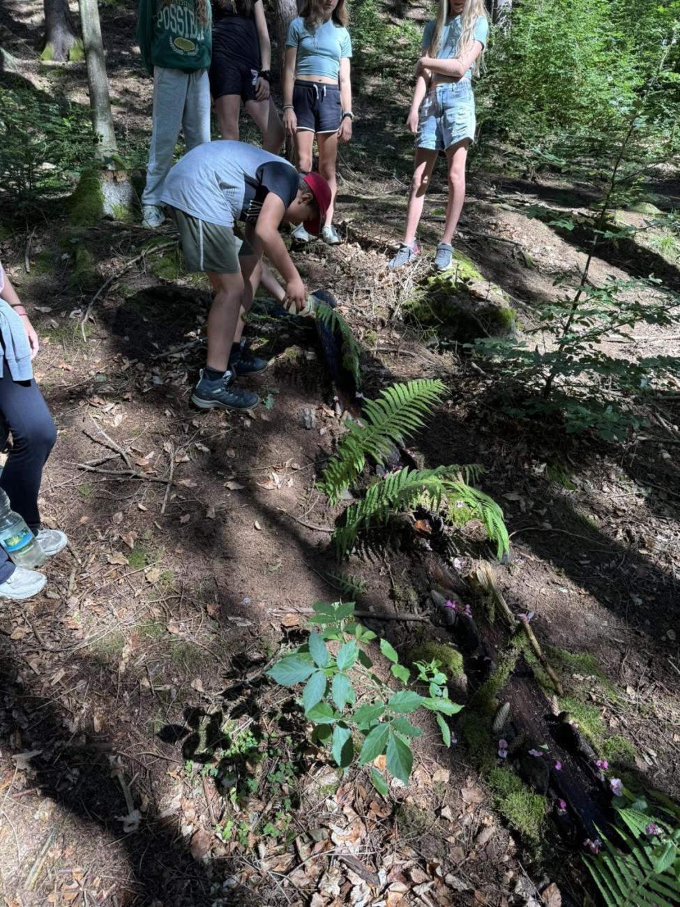 Šesťáci v Zálesí