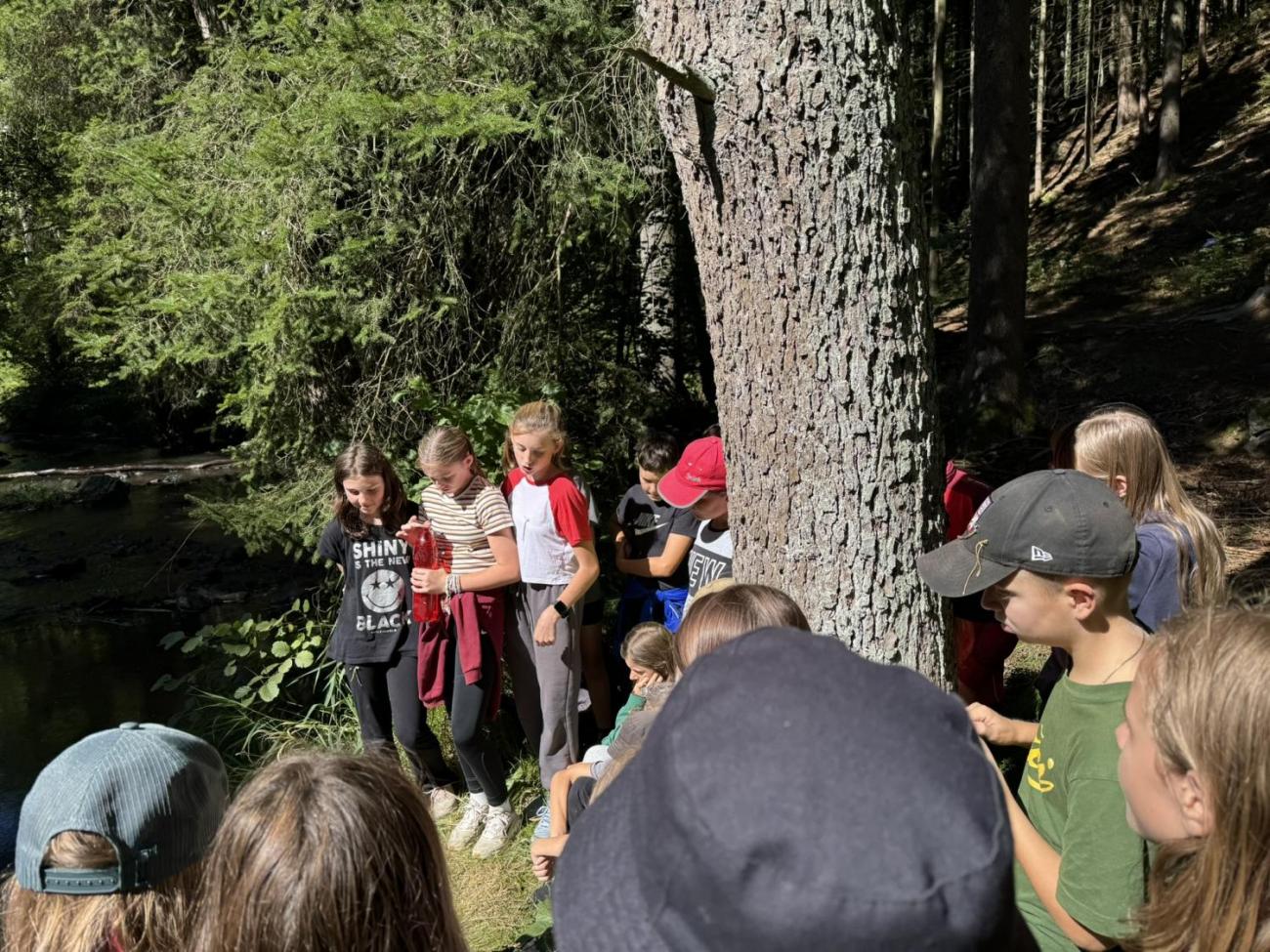 Šesťáci v Zálesí