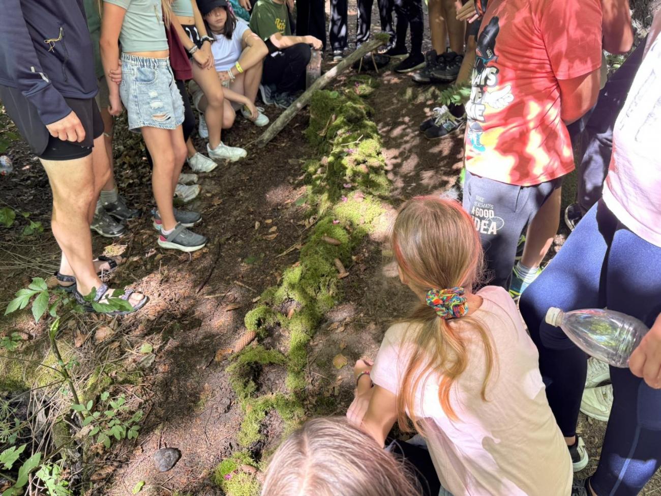 Šesťáci v Zálesí