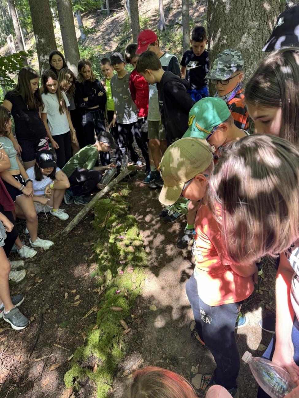 Šesťáci v Zálesí