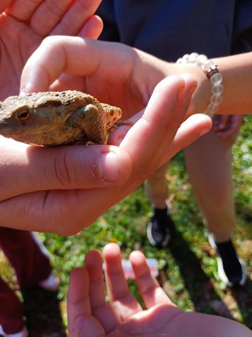 VÝJEZD POVOLÁNÍ  8. ročník