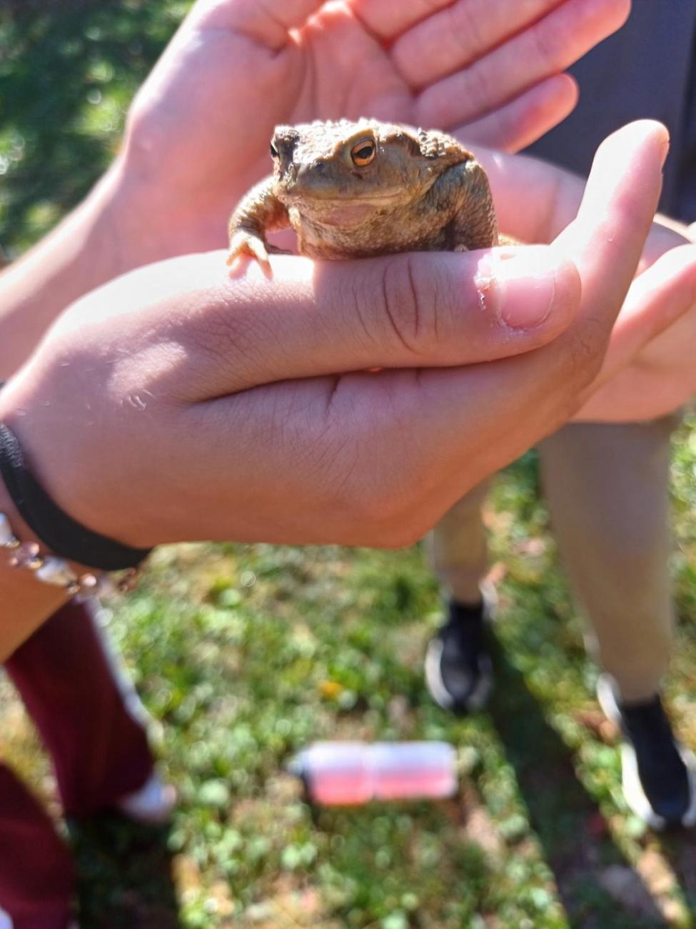 VÝJEZD POVOLÁNÍ  8. ročník