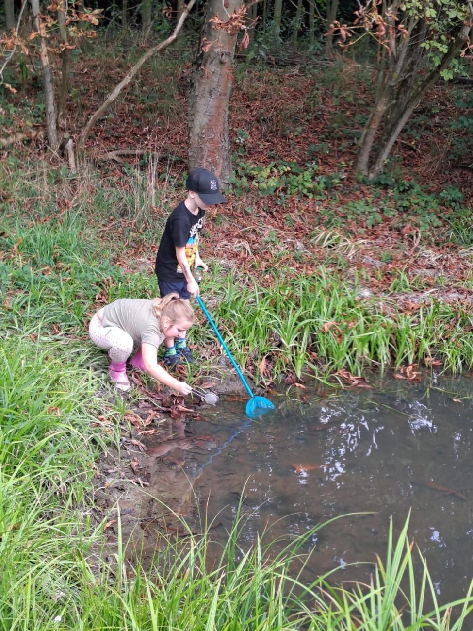 Modré žáby pod Šacberkem  2.C
