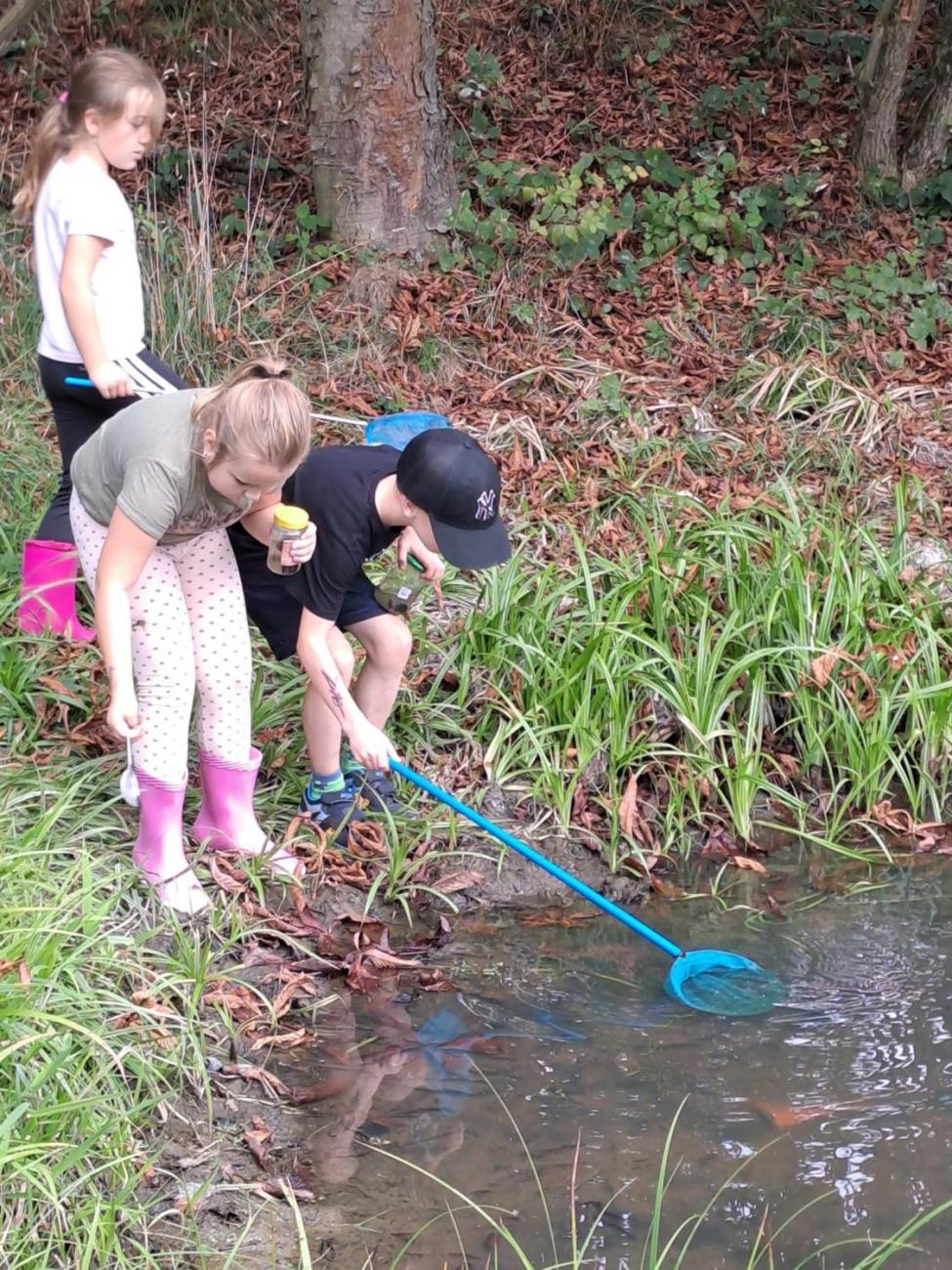 Modré žáby pod Šacberkem  2.C