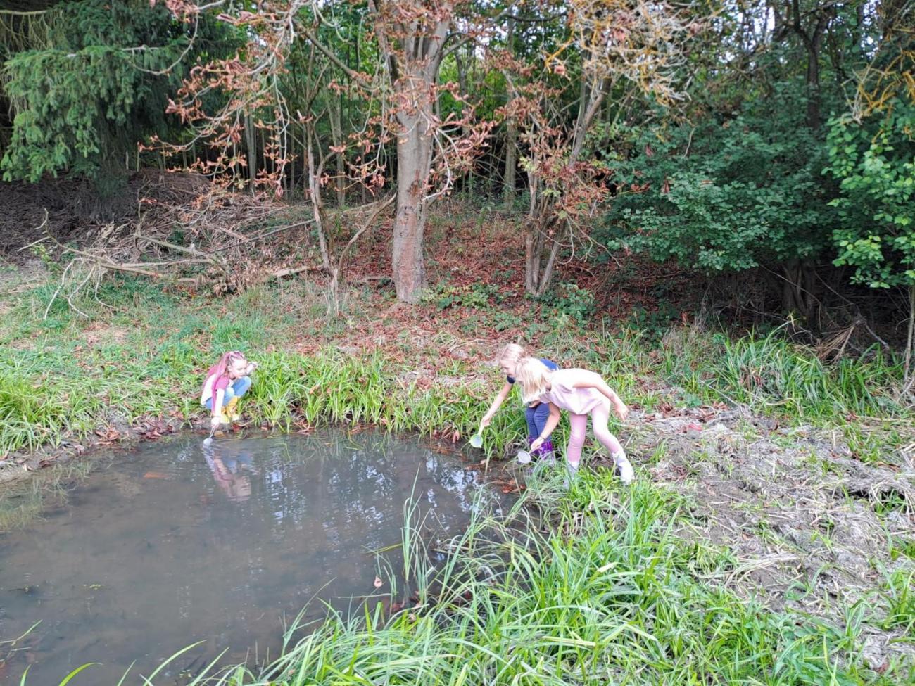 Modré žáby pod Šacberkem  2.C