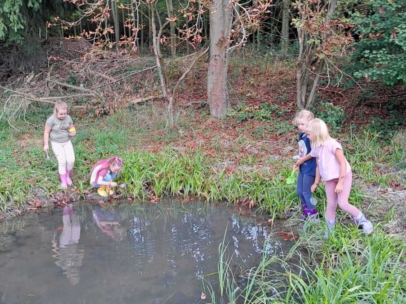 Modré žáby pod Šacberkem  2.C