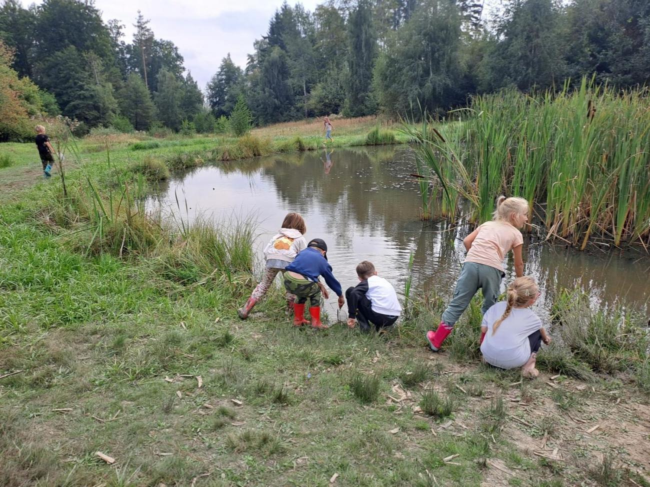 Modré žáby pod Šacberkem  2.C