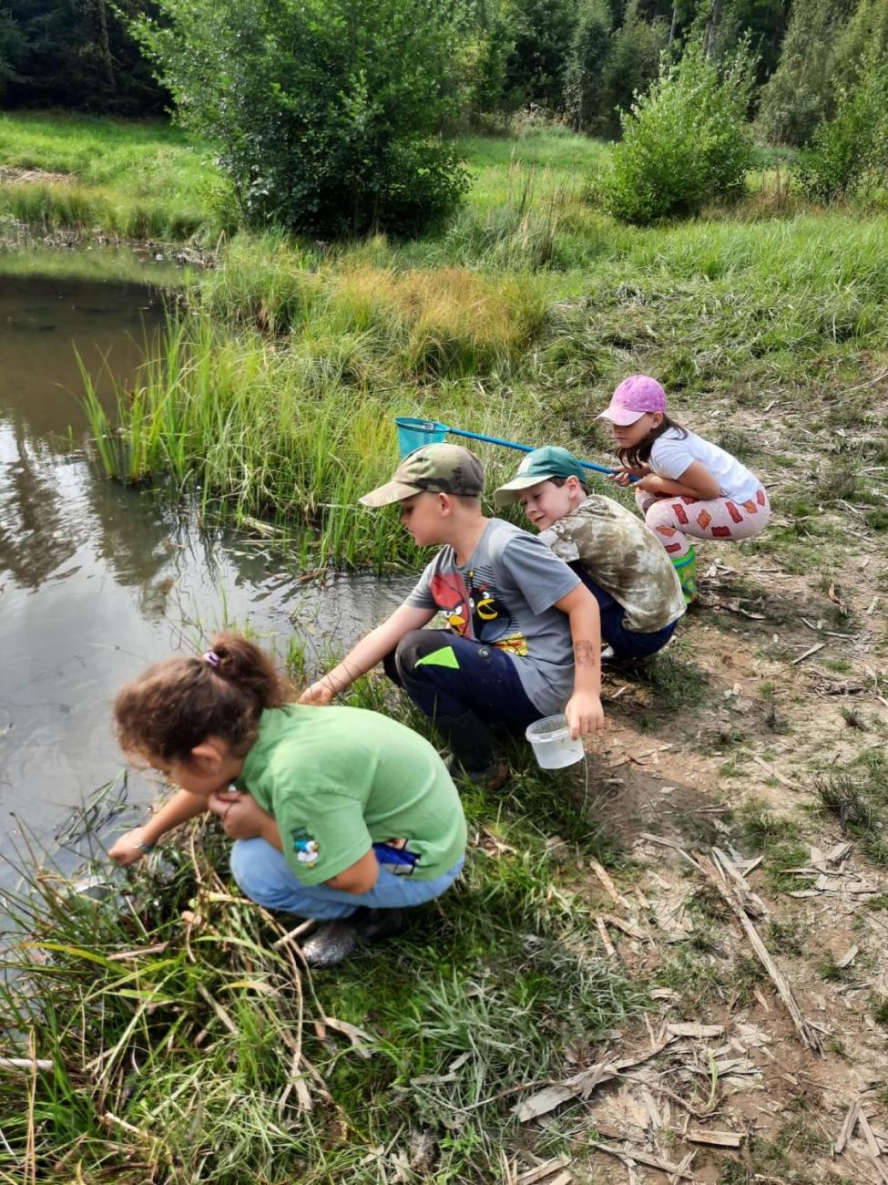 Modré žáby pod Šacberkem  2.C