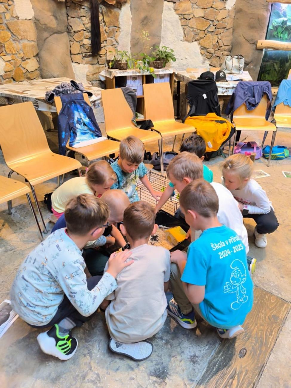 Mazlíčci v ZOO Jihlava  1.A