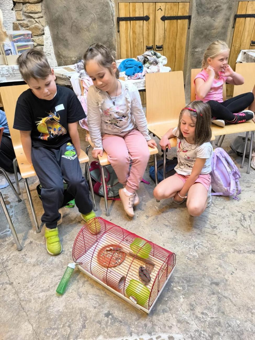 Mazlíčci v ZOO Jihlava  1.A