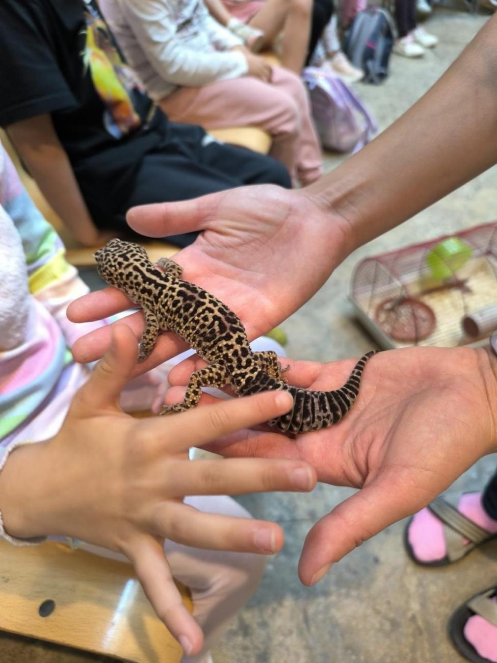 Mazlíčci v ZOO Jihlava  1.A