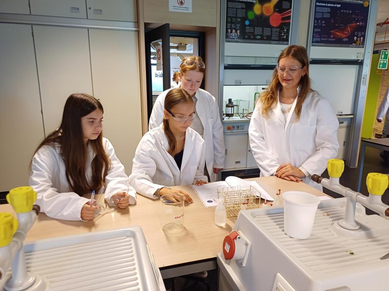 Waterproject 2025 -  Amsterdam