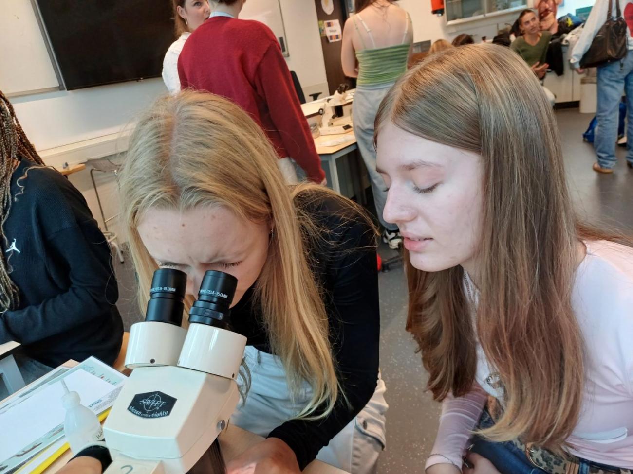 Waterproject 2025 -  Amsterdam