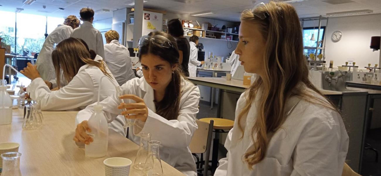 Waterproject 2025 -  Amsterdam