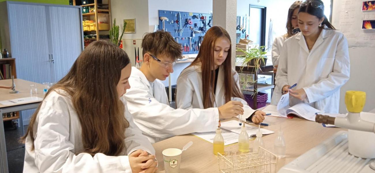 Waterproject 2025 -  Amsterdam