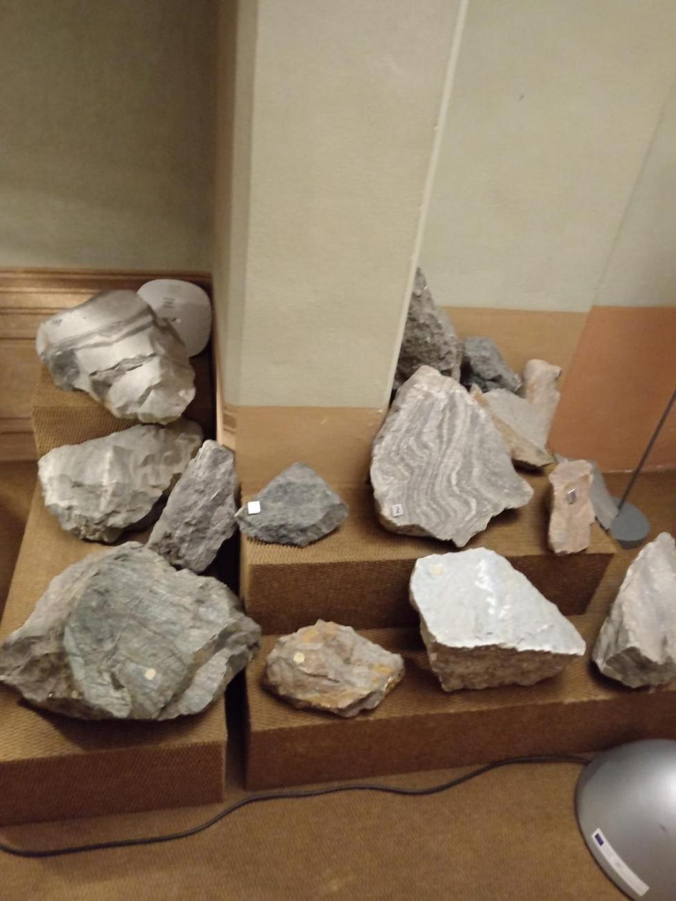 Muzejníkem na zkoušku – návštěva Muzea Vysočiny Jihlava  4.B