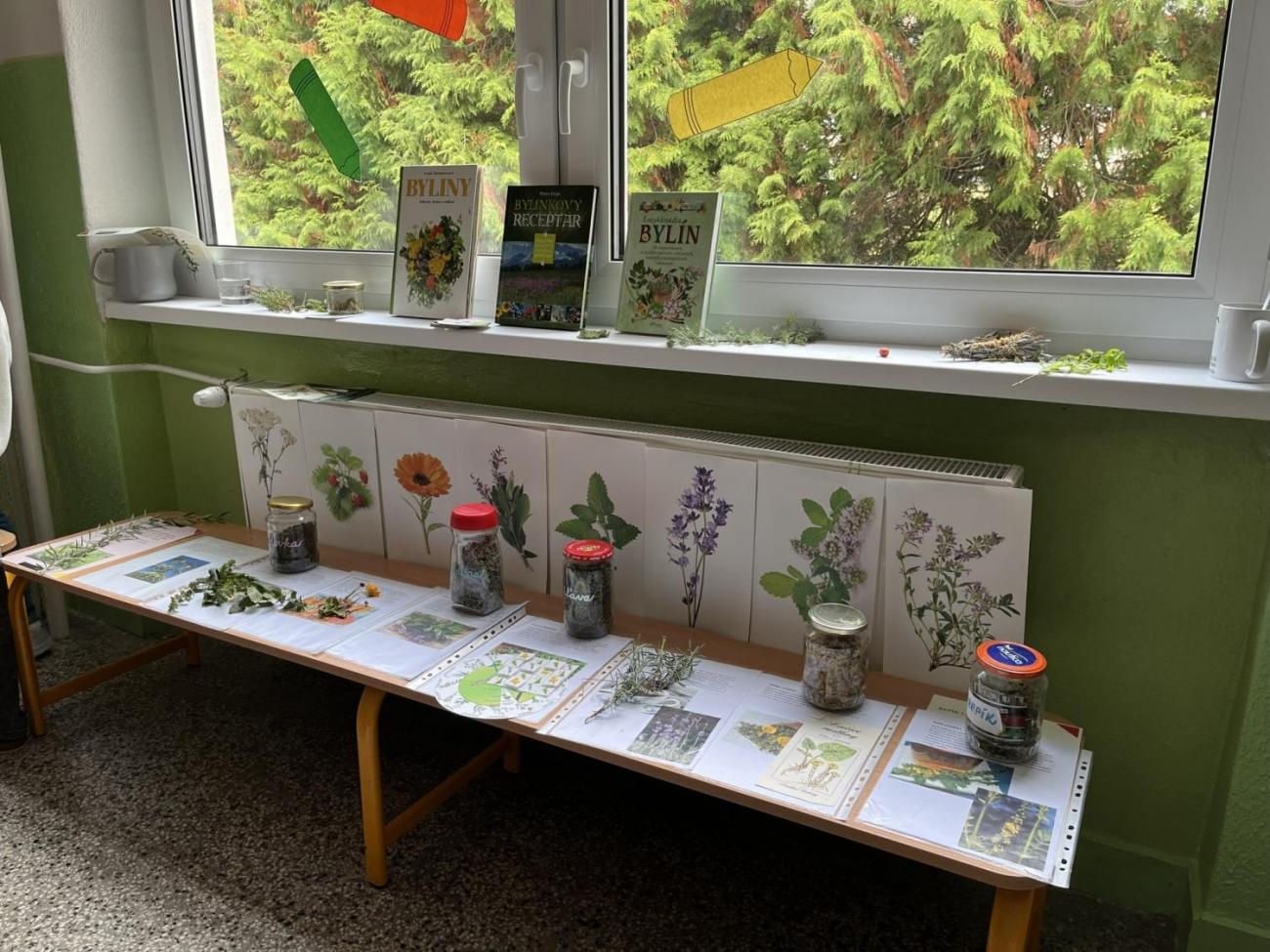 Erasmus+ Slovensko 4.C