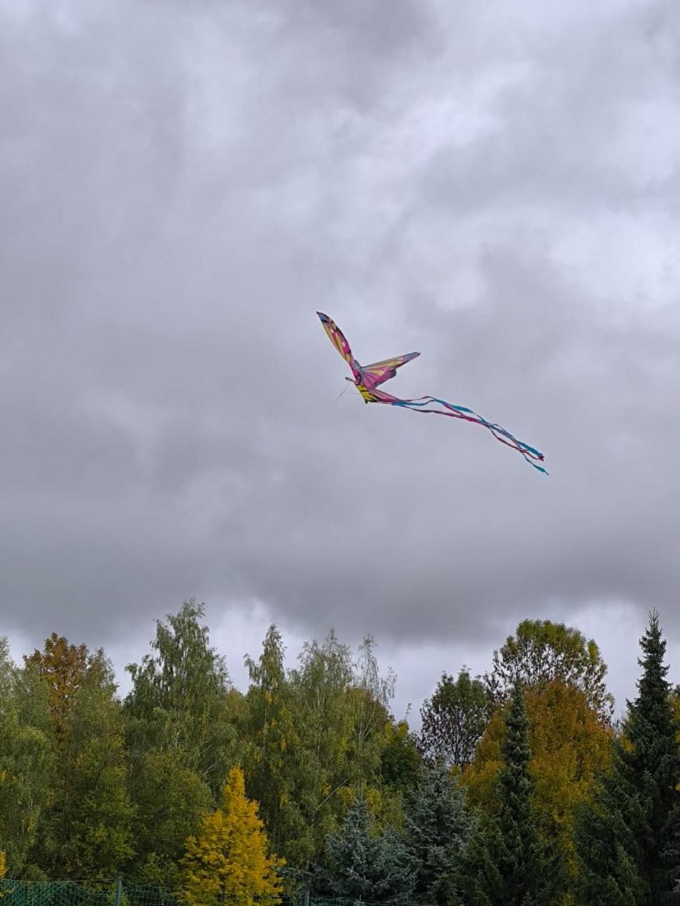 Společné pouštění draků 1.A a 9.A