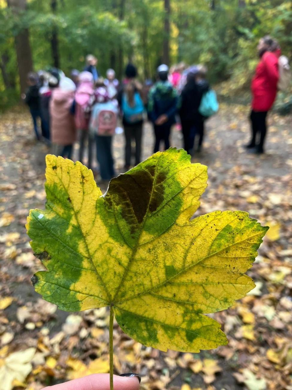 Vycházka „Od brány k bráně“  3.A