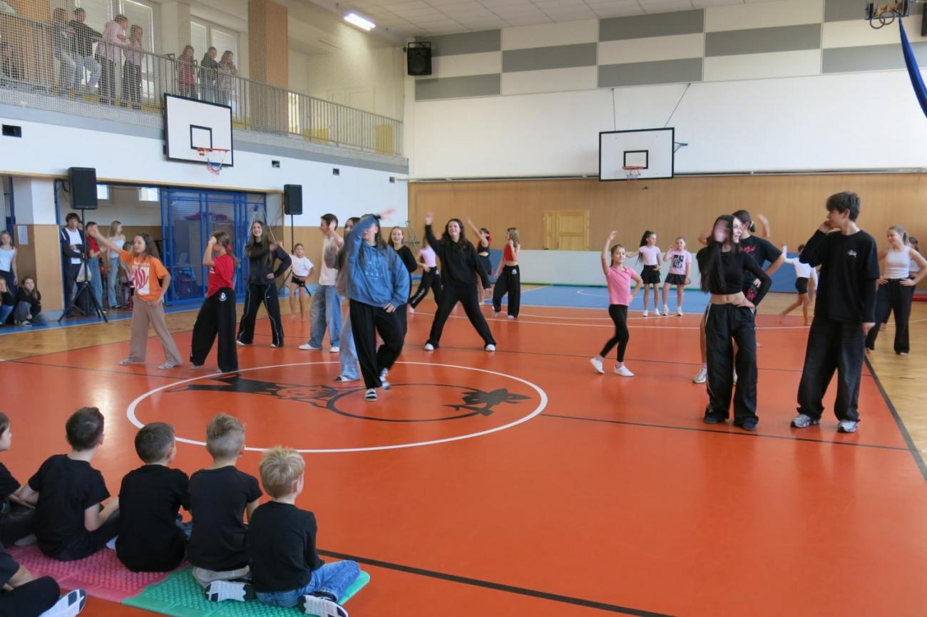 Vystoupení v tělocvičně v rámci 32. Veletrhu zdraví