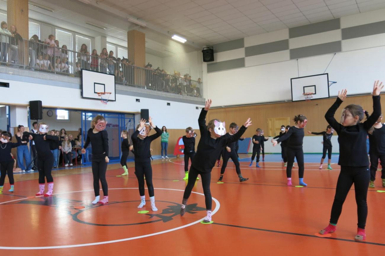 Vystoupení v tělocvičně v rámci 32. Veletrhu zdraví