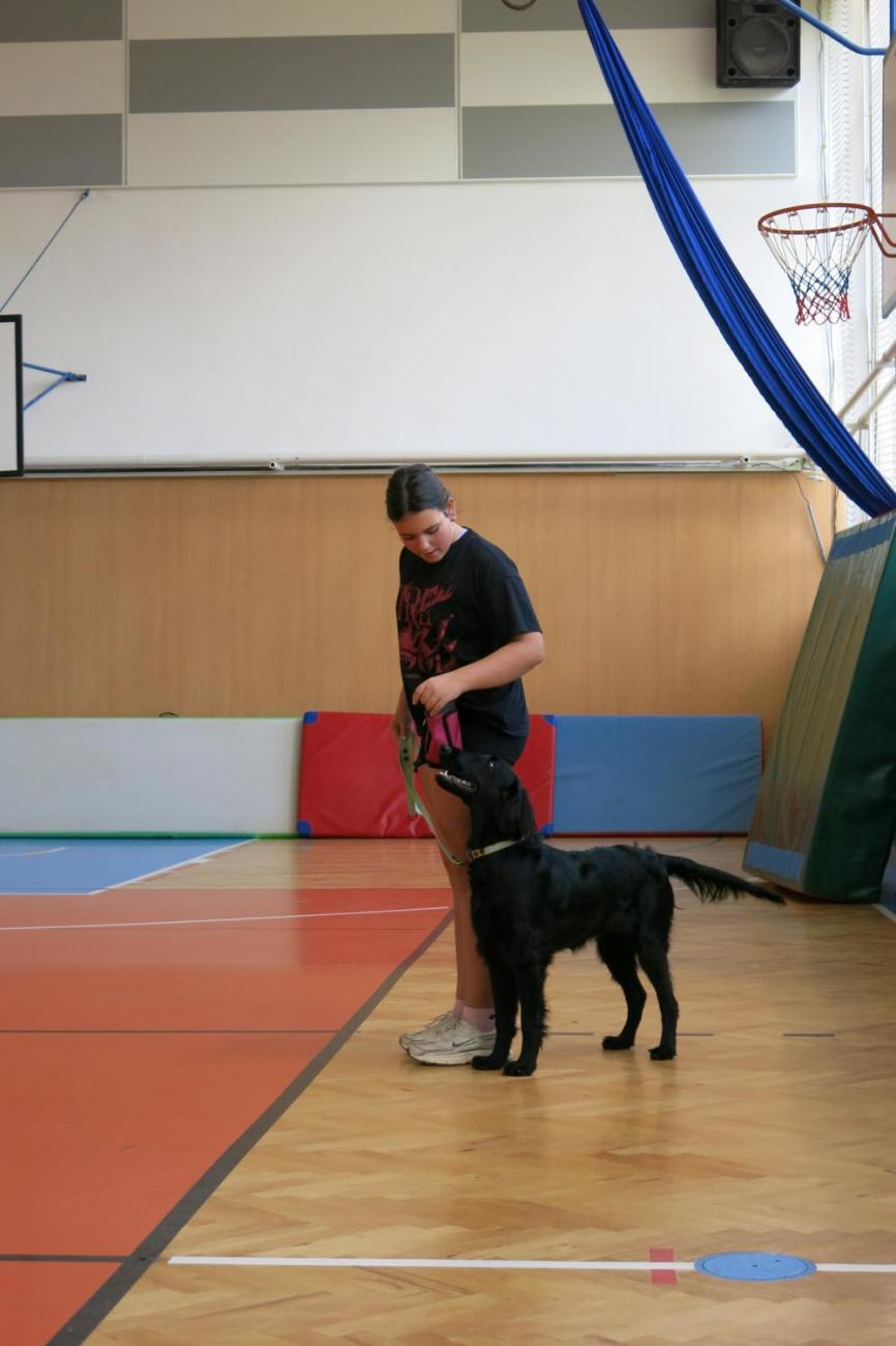 Vystoupení v tělocvičně v rámci 32. Veletrhu zdraví