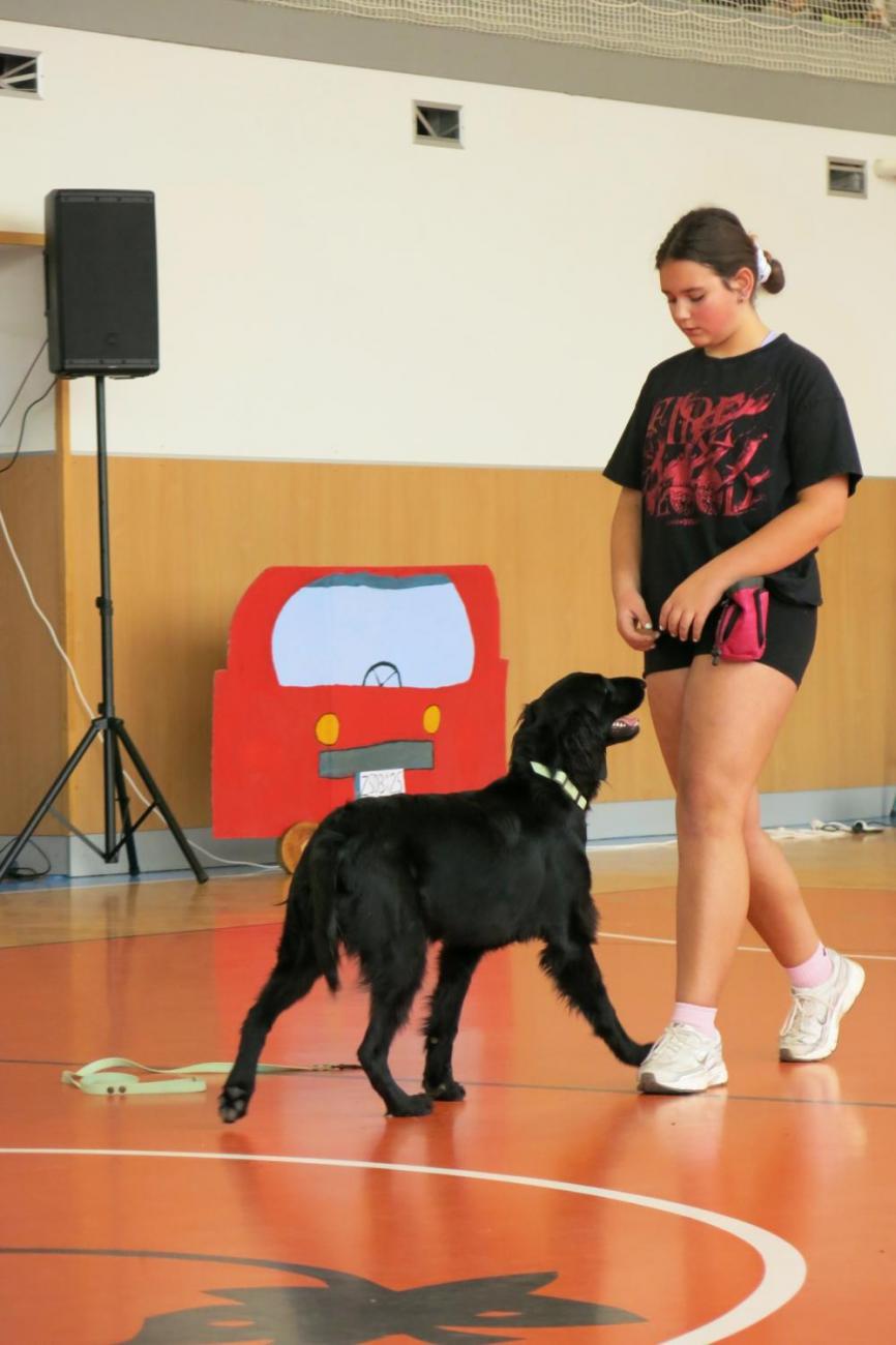 Vystoupení v tělocvičně v rámci 32. Veletrhu zdraví