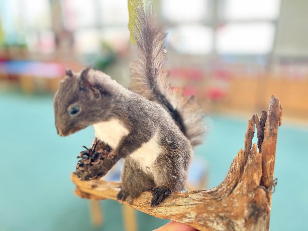 Veletrh zdraví u druháčků