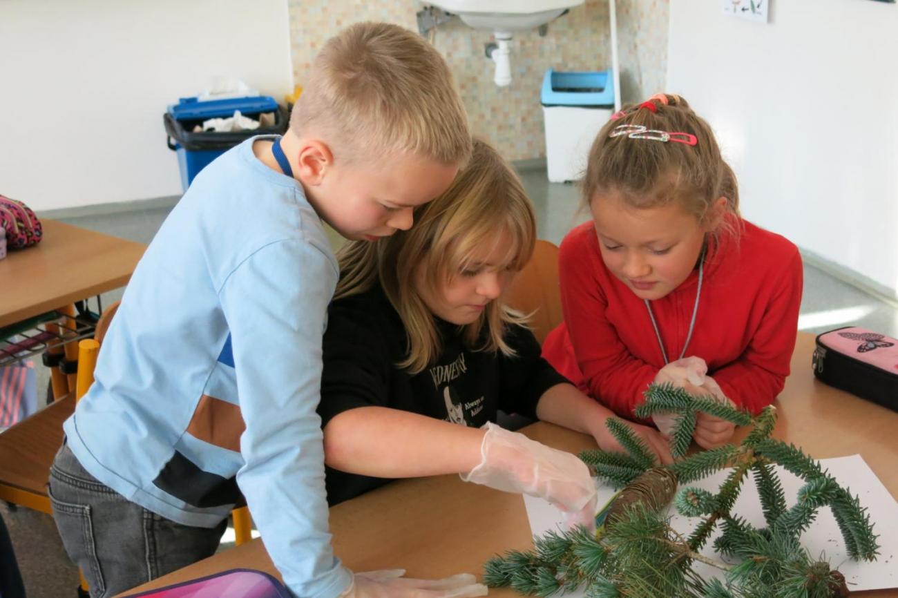 Veletrhu zdraví – badatelské aktivity 3. ročníku